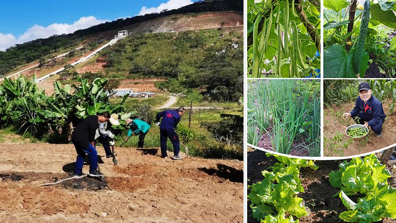 UG����360(�й���)������¼���